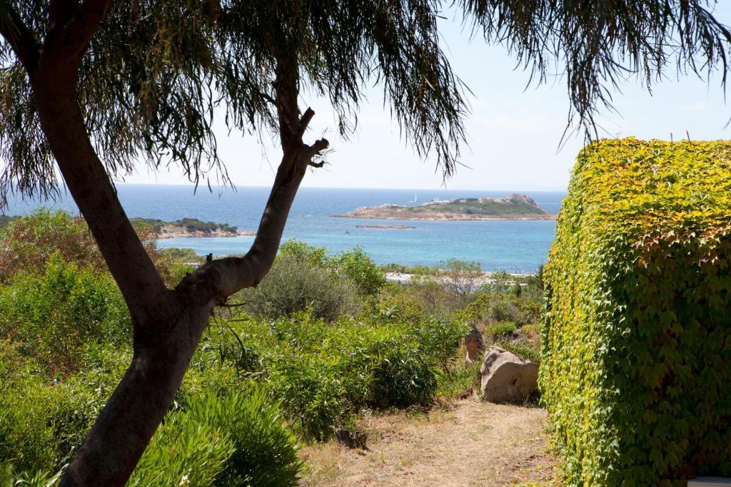 Residence Baia Salinedda Capo Coda Cavallo Pokój zdjęcie